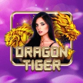 scatterna website image 46 showing live dragon tiger app